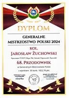 Gołębie zdjęcie